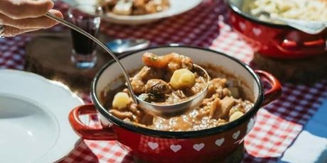 Festival gljiva i plodova jeseni - 15