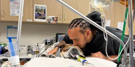 Lewis Hamilton sa psom - 2