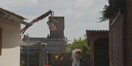 Afrička svinjska kuga - 4