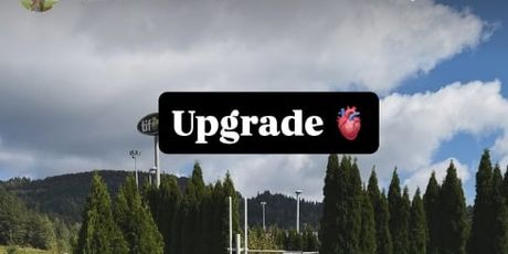 Auto Elle Dvornik - 3