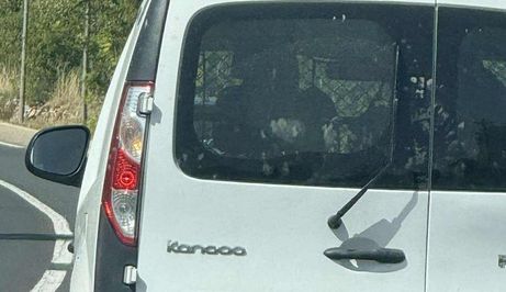 Automobil