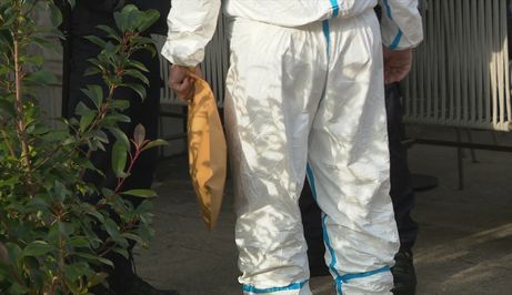 Femicid u Rijeci - 1