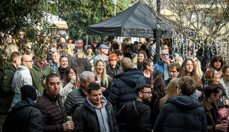 Badnjak, Šibenik - 12