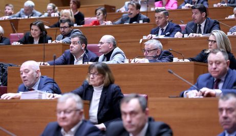 Sabor, glasanje o Ružiću