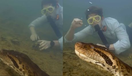 Profesor Freek Vonk i ogromna zmija pod vodom