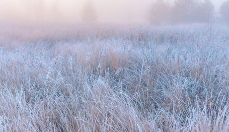 Zimsko jutro, ilustracija