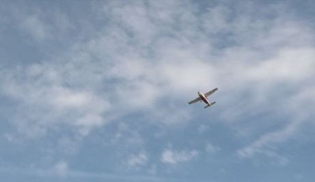 Oralna vakcinacija lisica protiv bjesnoće