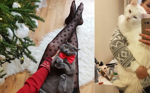 Seksi djevojke naklonjene
