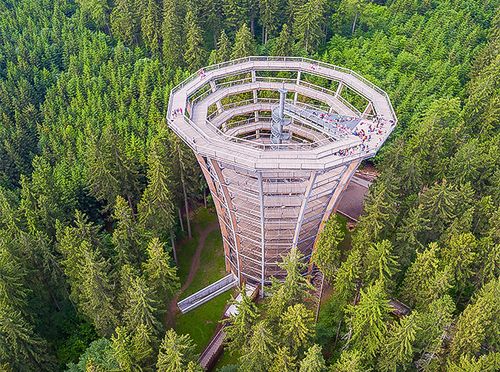 Treetop Walk Pohorje - 9