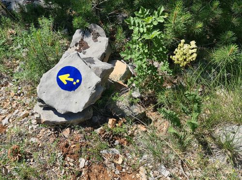 Camino Brač