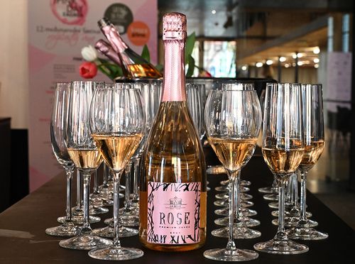 12. PINK DAY Zagreb festival - 2