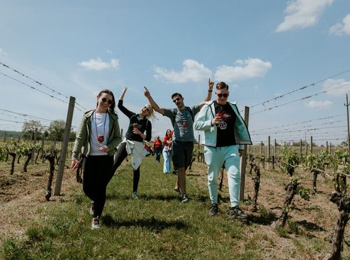 Ilok Wine&Walk 2025 - 3