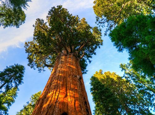 Kviz općeg znanja - 2