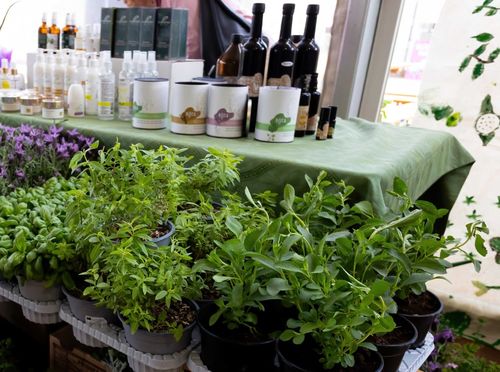 Festival samoniklog bilja - 3