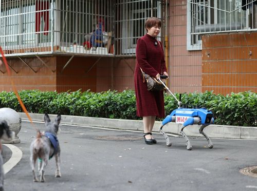 Robopsi za pomoć slabovidnim osobama u Chengduu u Kini - 3