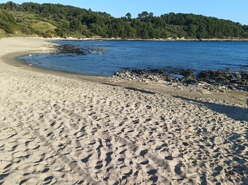 Plaža Pržina