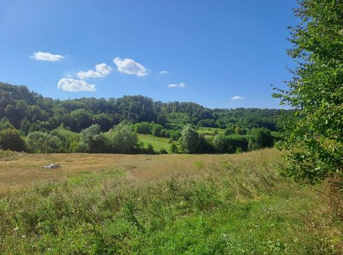 Turopoljska trail utrka Ključić brdo - 1