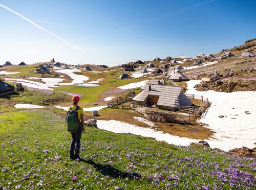 Velika planina - 5