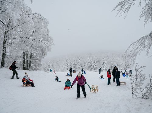 Sanjkalište Petehovac Delnice