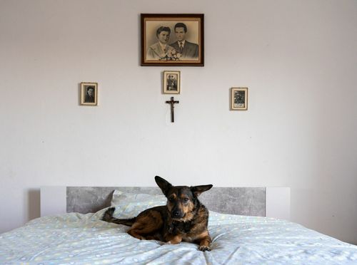 Luka Dubroja: The Gaze - 4