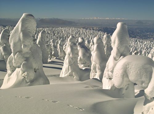 Snježna čudovišta - 7