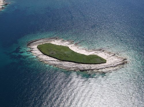 Kviz općeg znanja - 7