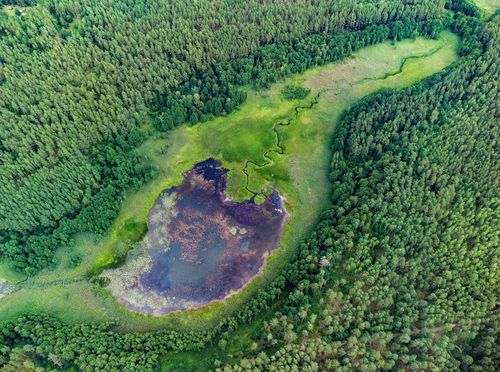 Nacionalni park Dzūkija u Litvi - 1