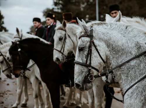 Poklade u Vinkovcima