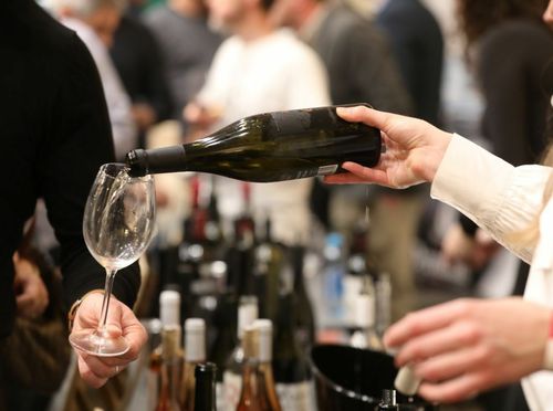 100 najboljih vina Hrvatske - 9