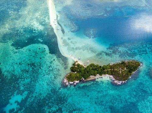 Otok zmija u Brazilu - 4