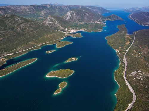 Kviz općeg znanja - 11