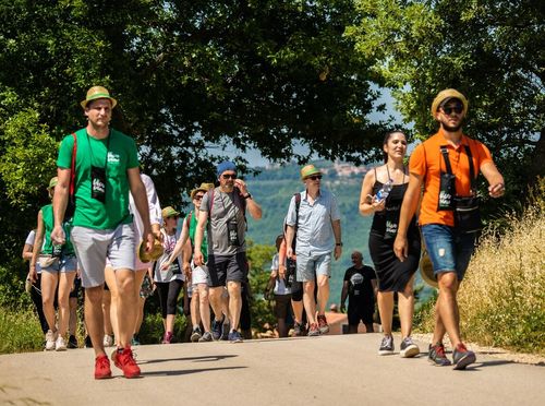 Viva Vino Vižinada - 4