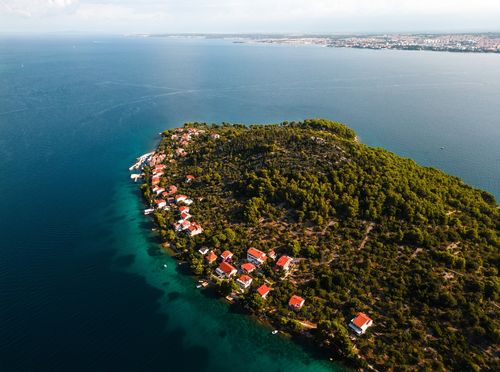 Ošljak - 3
