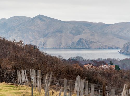Katunar Estate Winery - 32