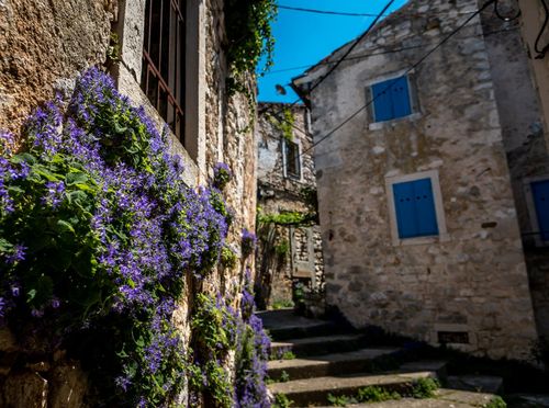 Proljeće u Kršanu - 1