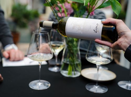 Benvenuti vina - 4