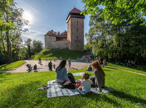 Stari grad Dubovac - 3