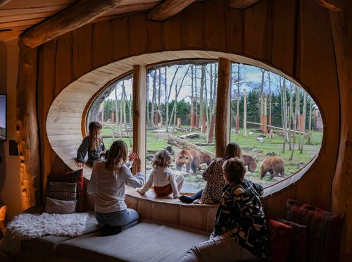 Pairi Daiza - zoološki vrt i resort - 9