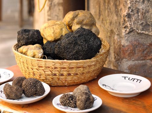 Tartufi