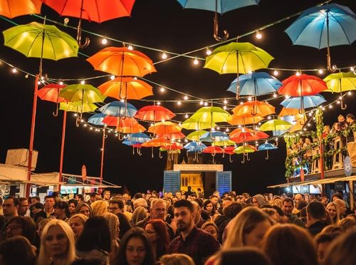 Baš naš festival - 1