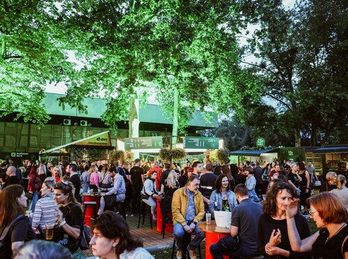Greencajt festival - 3