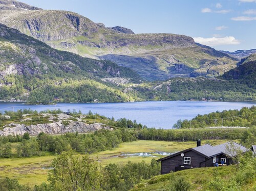 Flåmsbana željeznička linija u Norveškoj - 7
