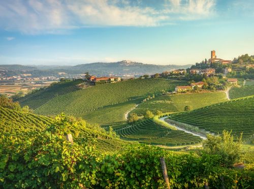 Pijemont je poznata vinorodna regija u Italiji