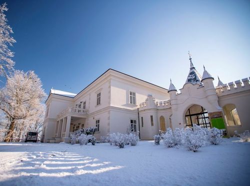 Dvorac Janković, Suhopoljle