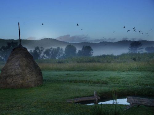 Vineyard Eco Cottage Gruda - 31