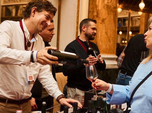 Dalmatinske Vinske Ikone - 4