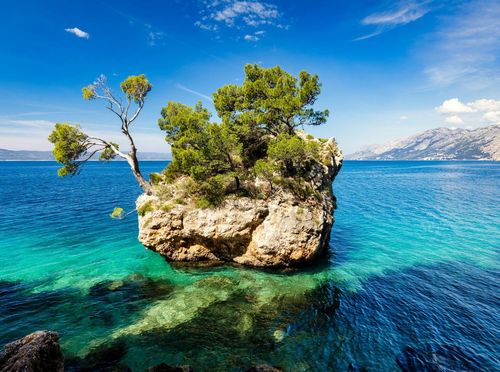 Novi kviz općeg znanja - 1