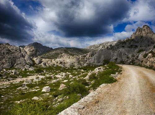 Kviz općeg znanja - 12