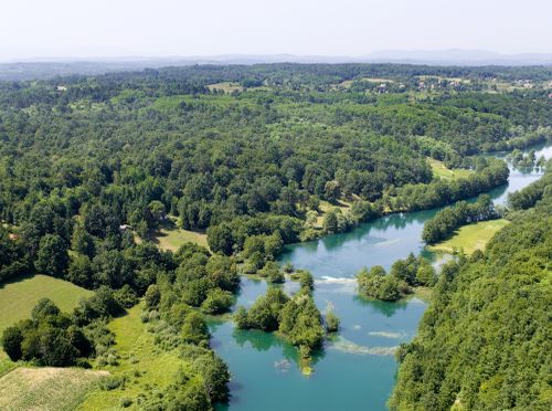 Mrežnica - 1