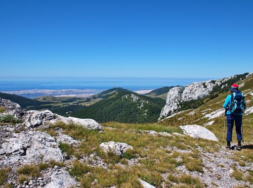Novi kviz općeg znanja - 10